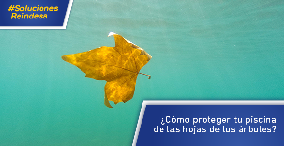 Soliuciones-reindesa-Mosca-Horitzontal-Hojas (1)